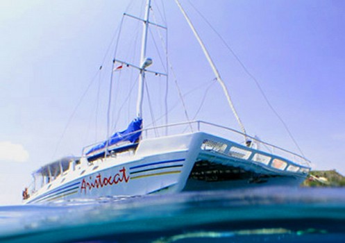 Aristocat Lembongan Cruise - 