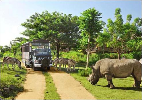 Bali Safari and Marine Park - 