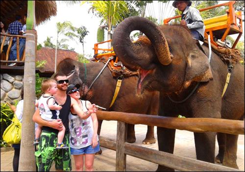 Bali Zoo Park - 