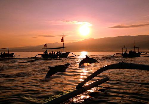 Overnight and Dolphin Tour - 