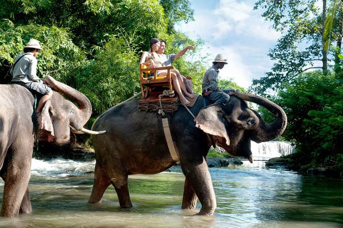 Cycling/ Elephant Ride and Spa Package - 