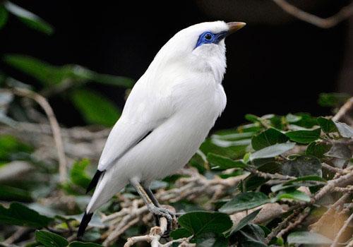 West Bali National Park Tour - 