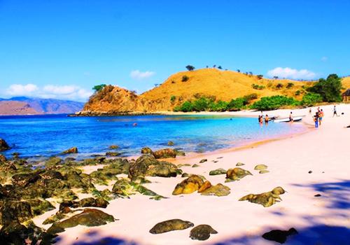Komodo Island Sailing Tour 4 Days 3 Nights - 