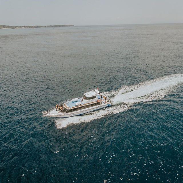 Starfish Fast Cruises - 