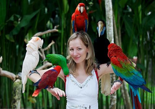 Bali Bird Park - 