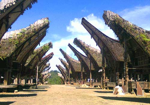 Toraja Culture and Nature Tour 3D2N - 