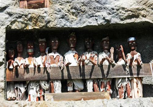 Toraja Tour Incl. Makassar 5D4N - 