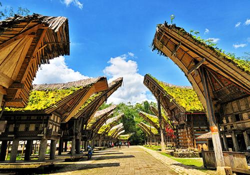 Bugis - Tana Toraja Tour 6D5N - 