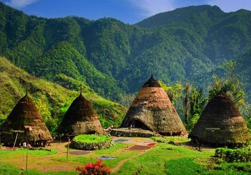 Komodo Tour Package 6 Days 5 Nights - 
